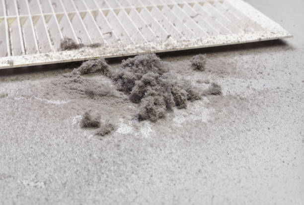 Best Local Air Duct Cleaning Services  in Amelia, OH