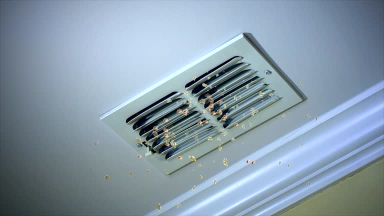 Best Professional Duct Cleaning Services  in Amelia, OH