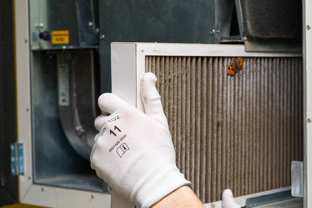 Best Ductwork Cleaning Services  in Amelia, OH