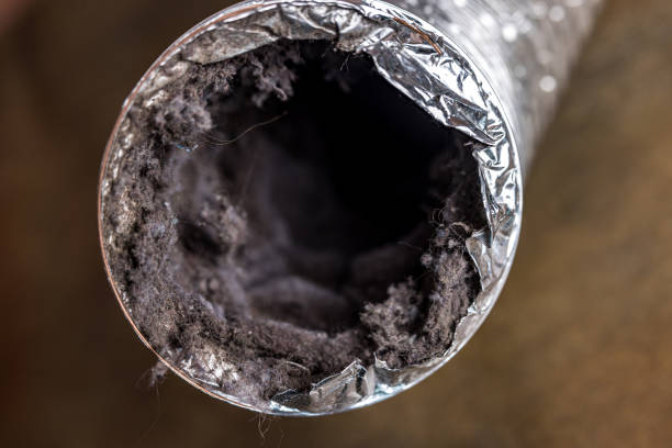 Best Professional Duct Cleaning Services  in Amelia, OH