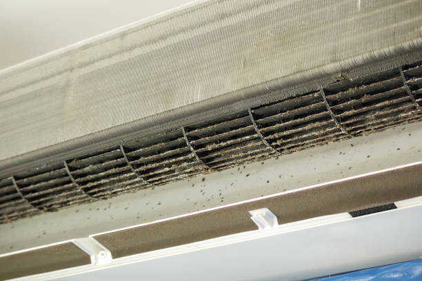 Best HVAC Air Duct Cleaning  in Amelia, OH